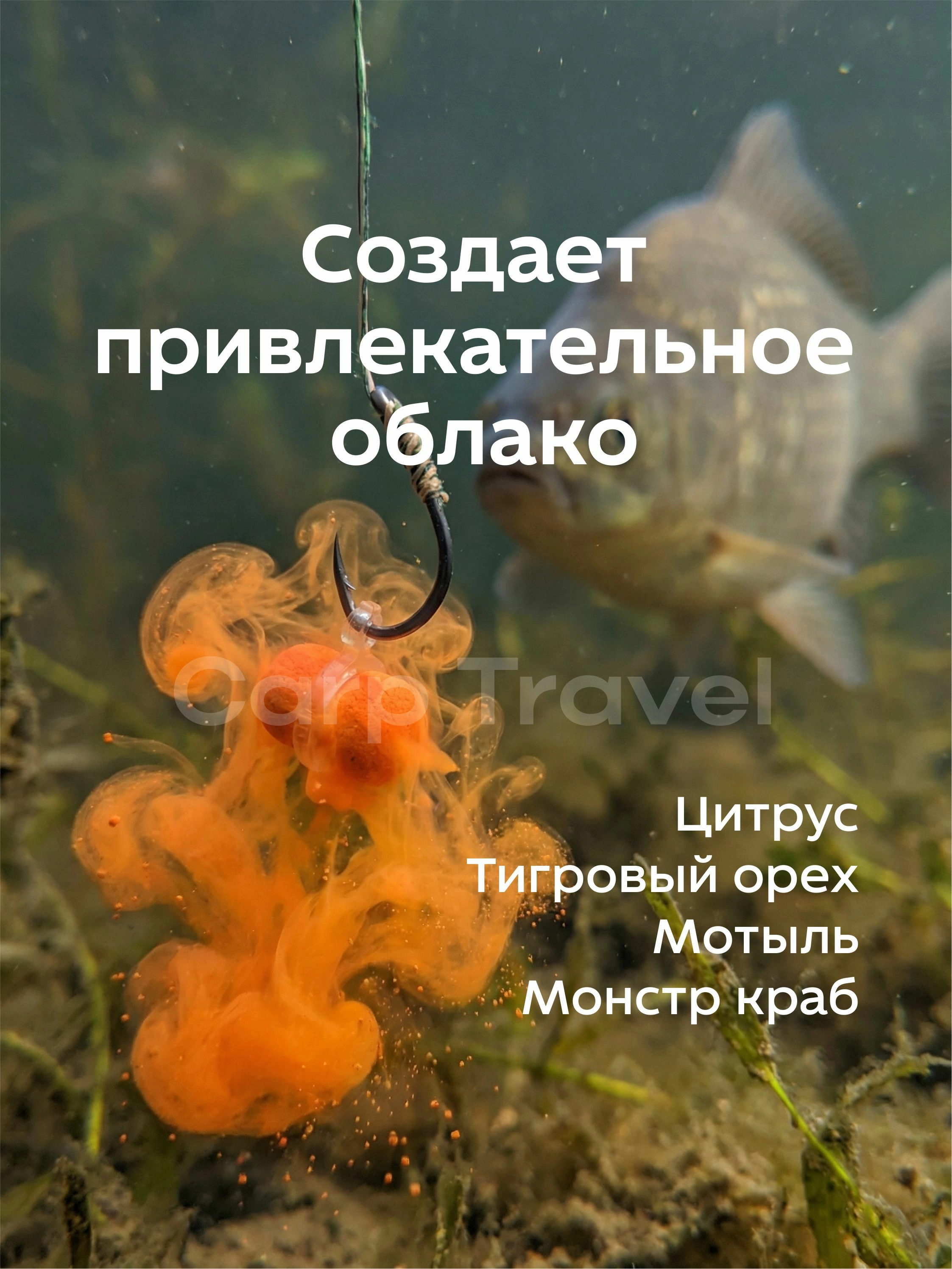 Пылящие бойлы на карпа по холодной воде Пылящие бойлы на карпа по холодной воде
