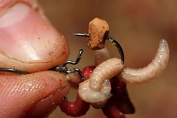 Клипса для опарыша Korda Maggot Klip Medium  