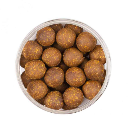 HB0101_1