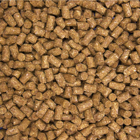 3905_1